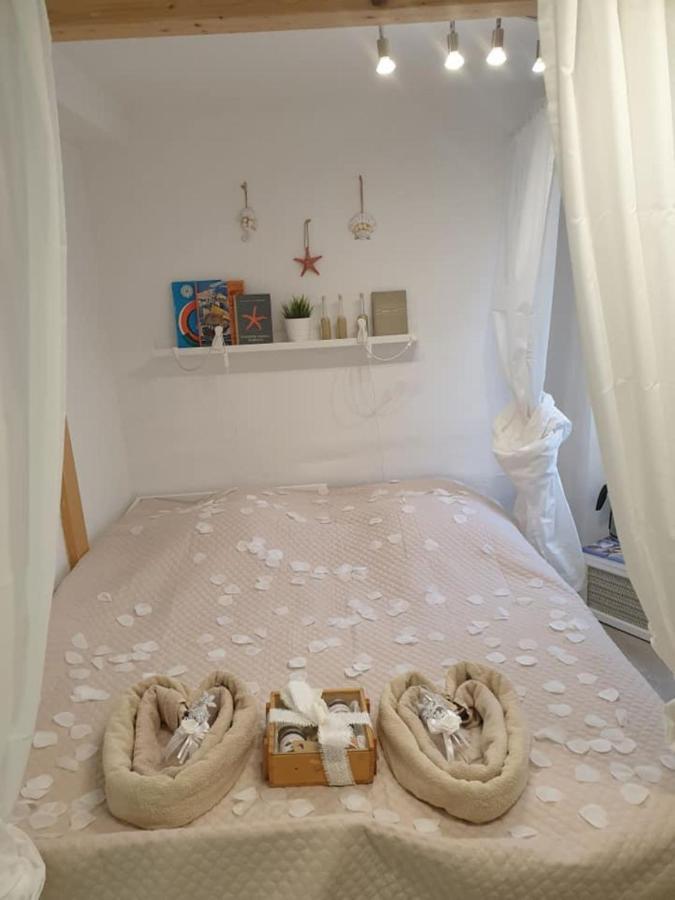 PiranArt Guest house Extérieur photo